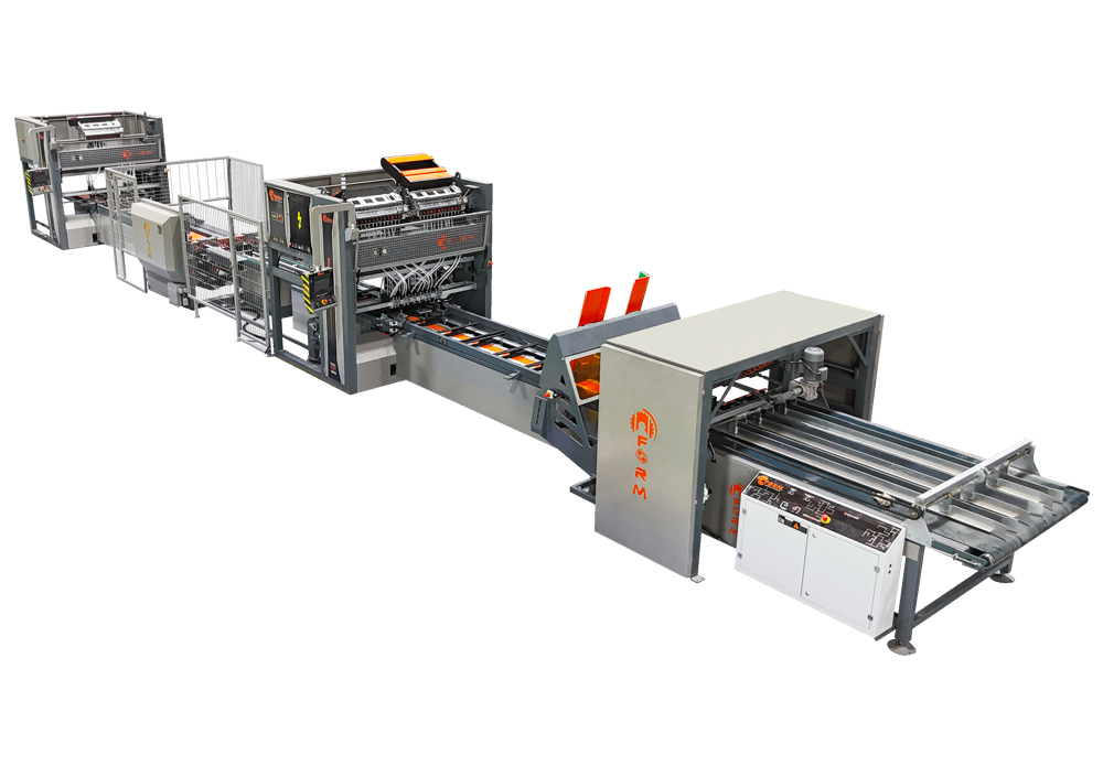 OTOMATİK PALET ÇİFT ÇAKIM HATTI