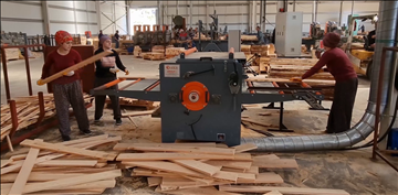 Edging & Slicing Cutter